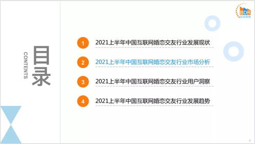 2021上半年度中国互联网婚恋交友市场研究报告